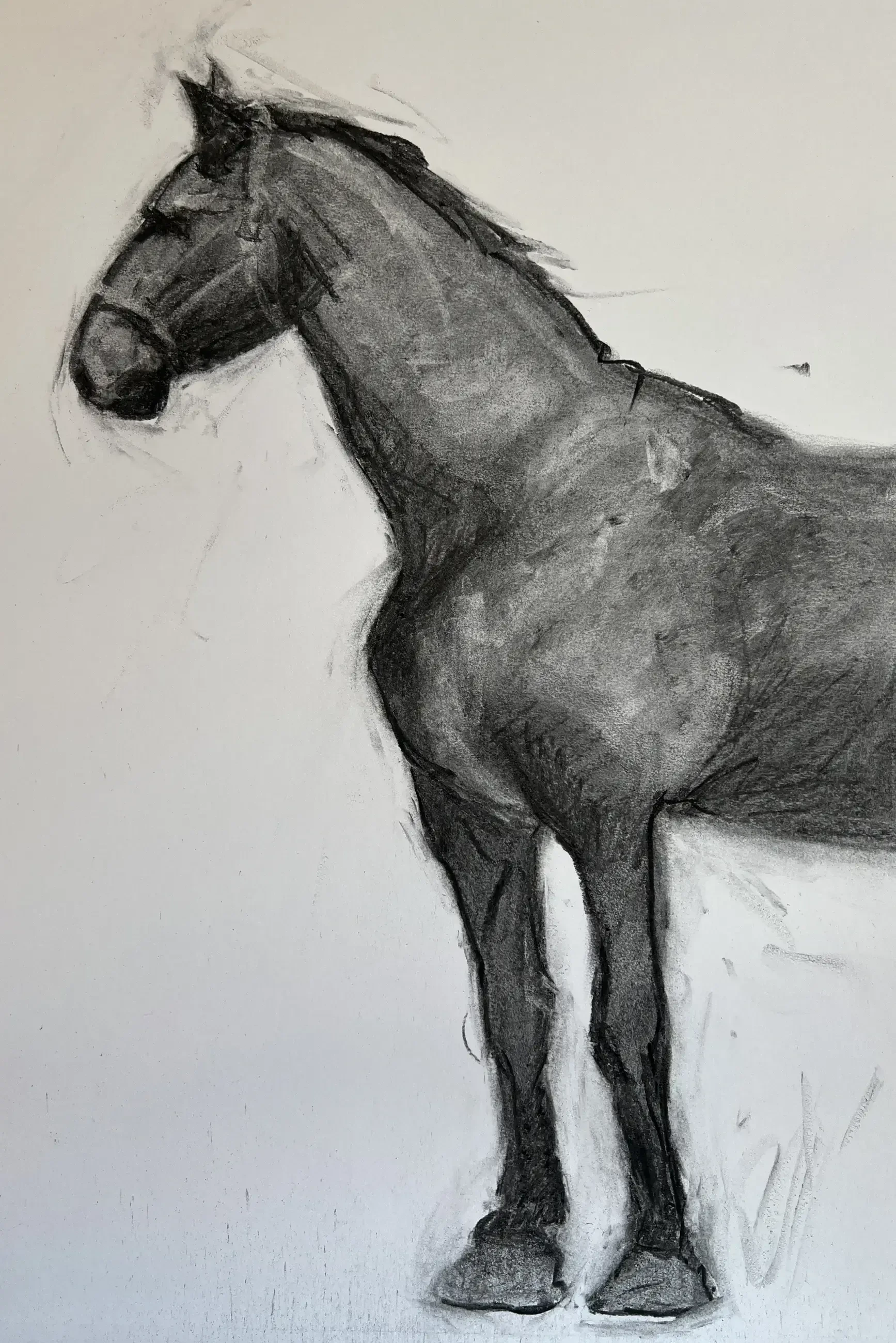 Equestrian fine art print
