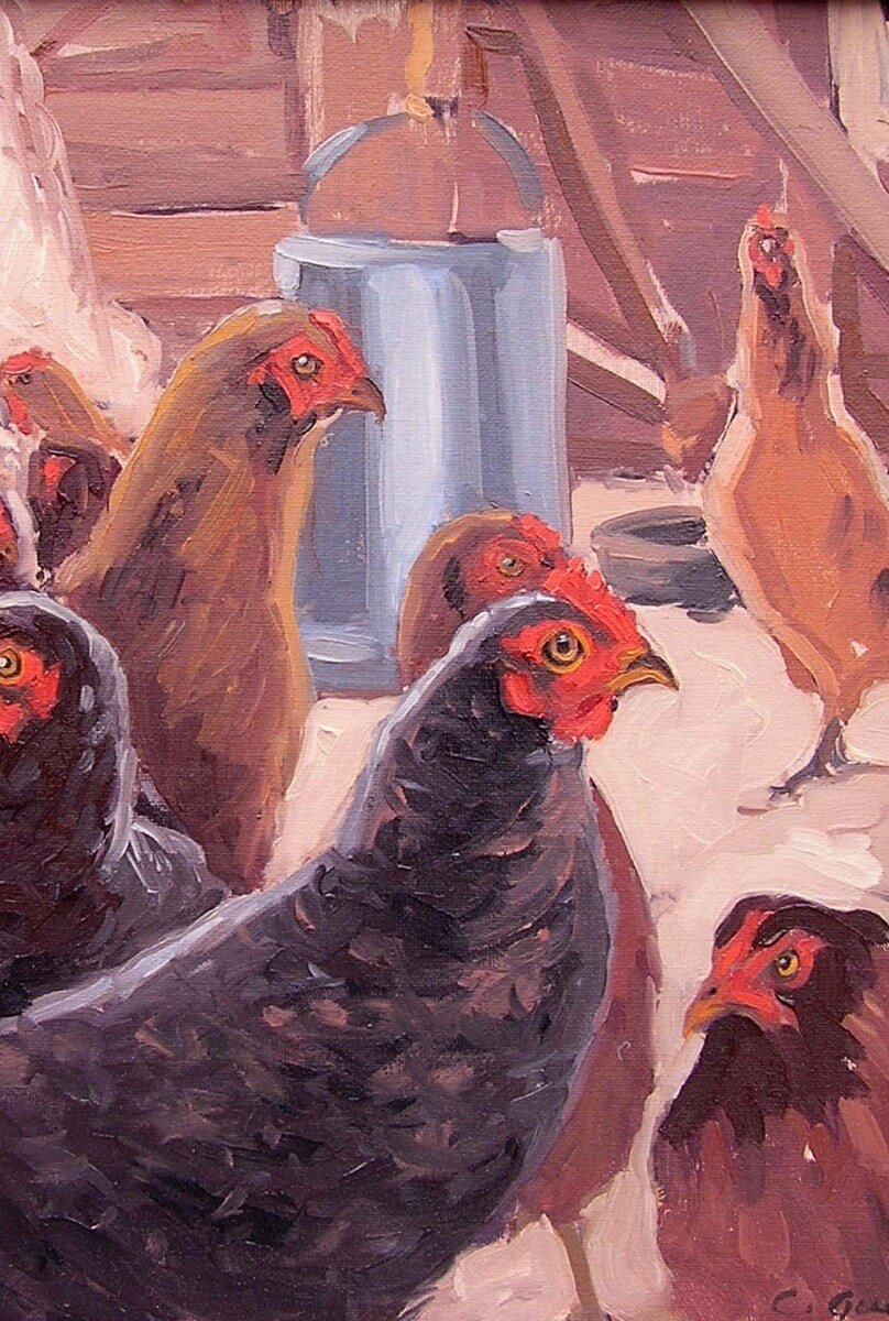 Animals