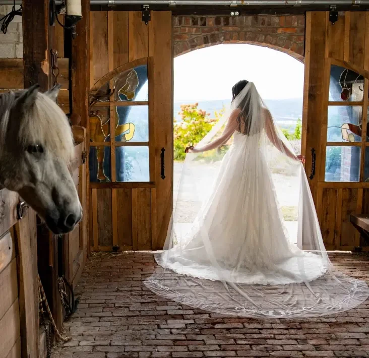 lambs hill equestrian veil