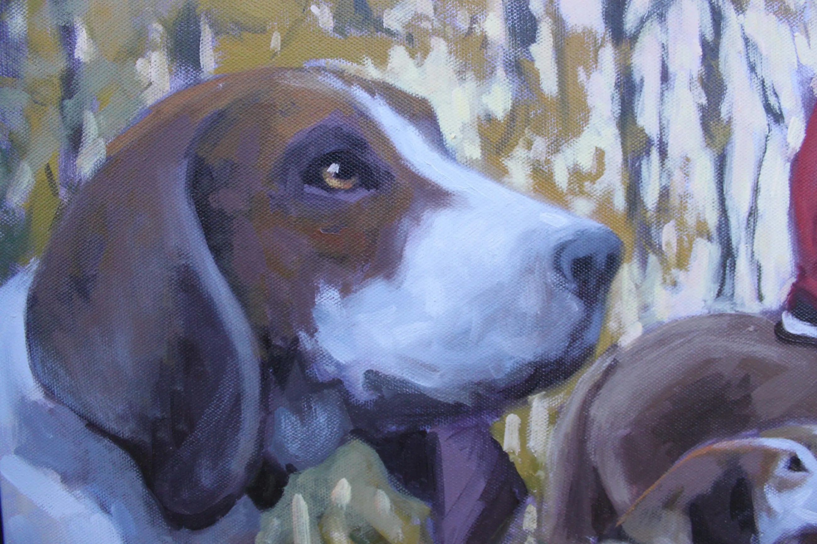Hound Detail