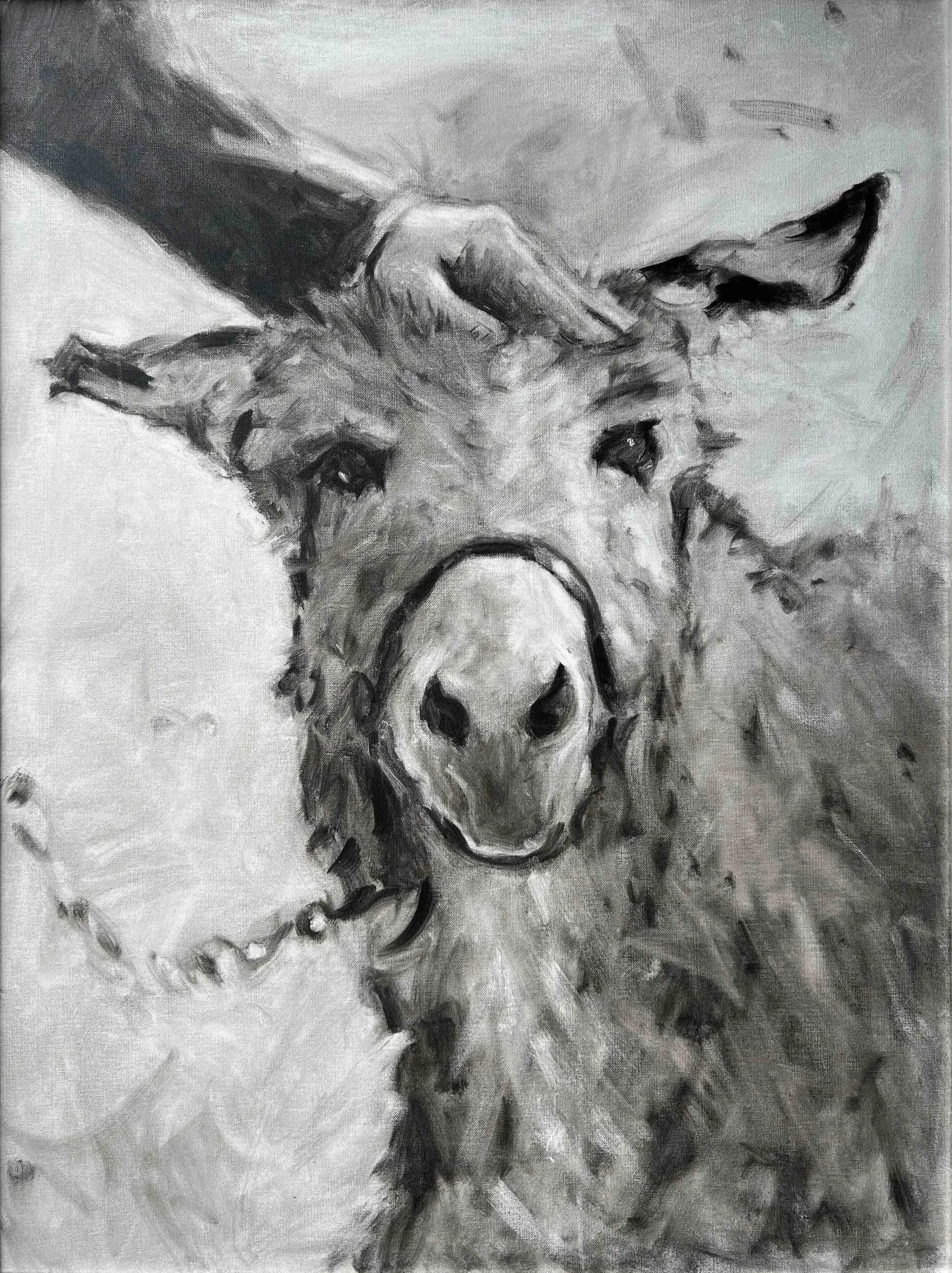Donkey Portrait