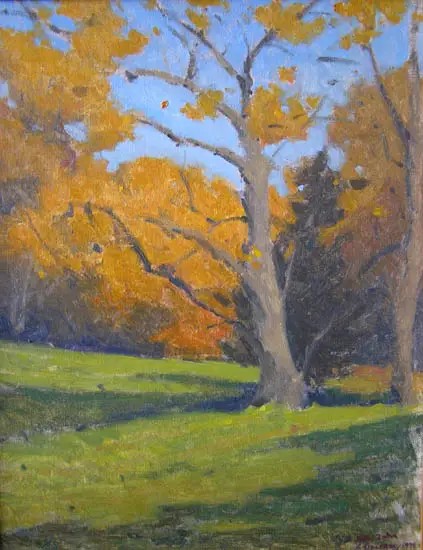 old tree