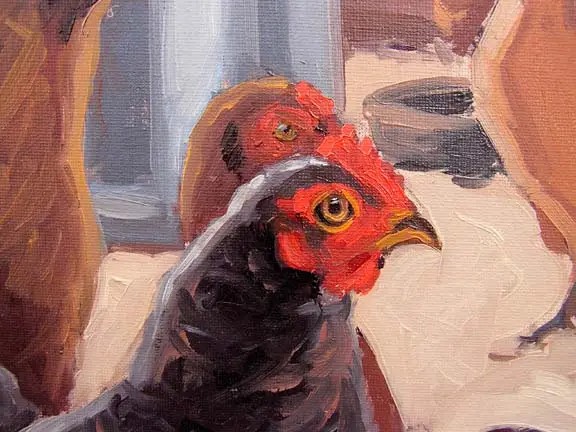 chicken concerned