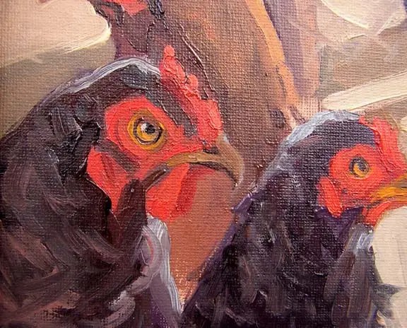 chicken mad