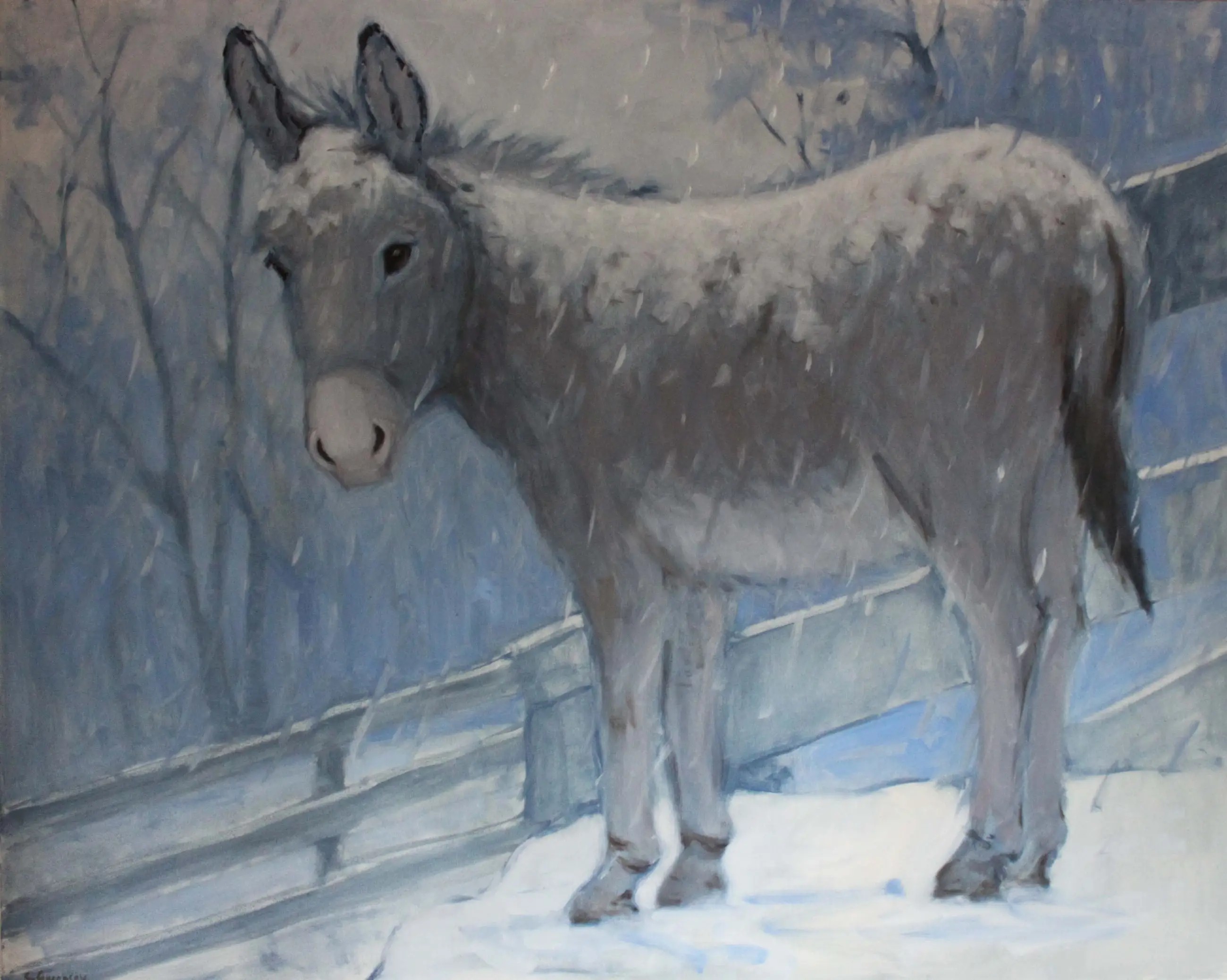 Porgyin Snow