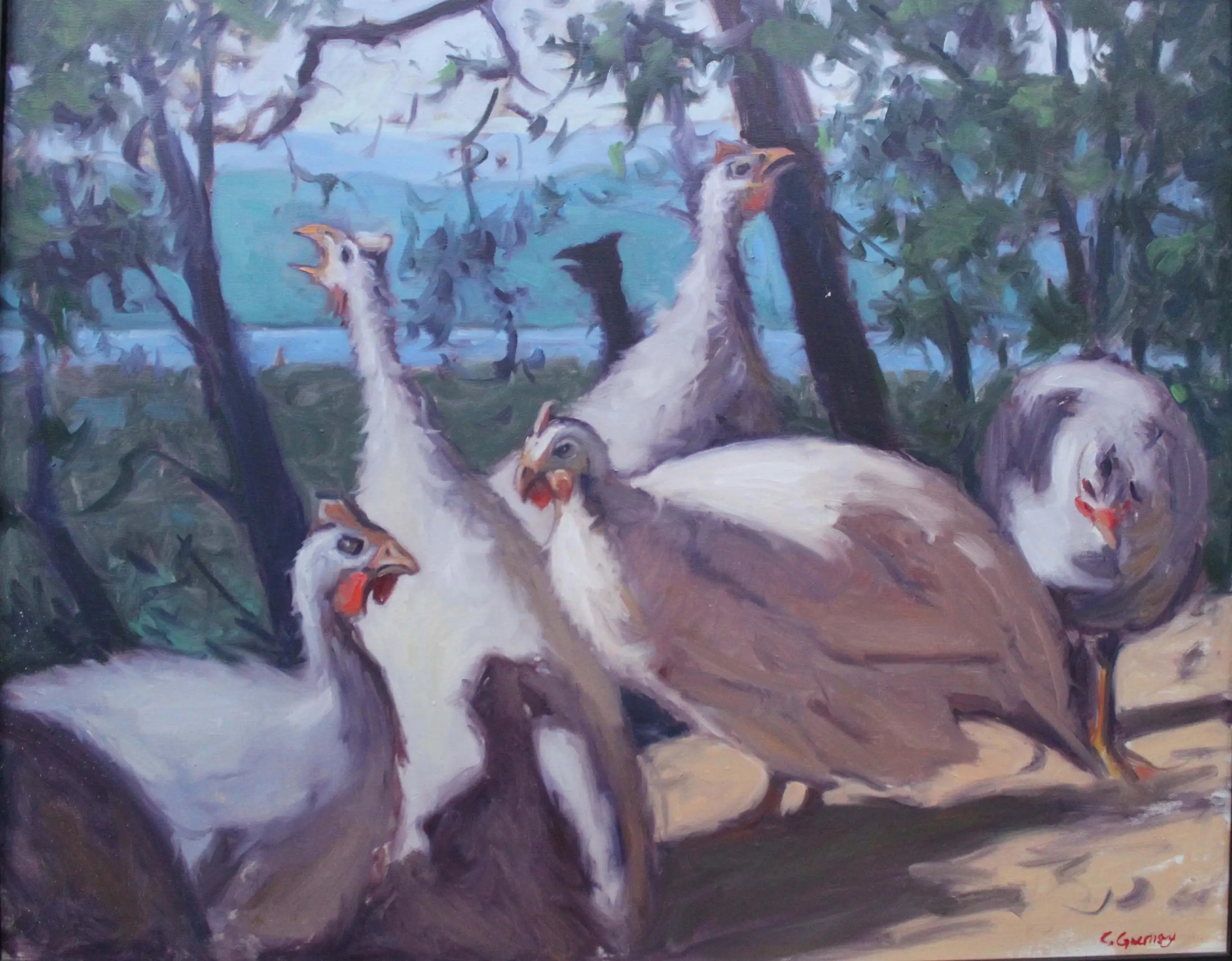 guinea hens