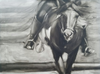 Horse and Rider #0 default thumbnail