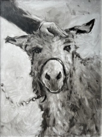 Mini Donkey Portrait #0 default thumbnail