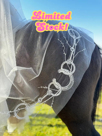 The Original Equestrian Waltz #0 default thumbnail