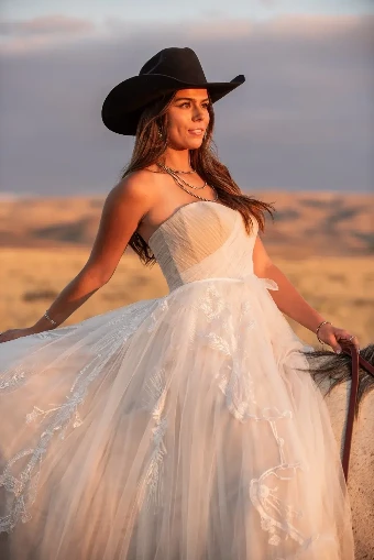 The Western Overskirt #6 thumbnail