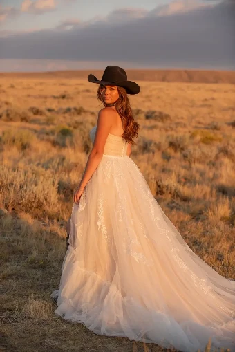 The Western Overskirt #5 thumbnail