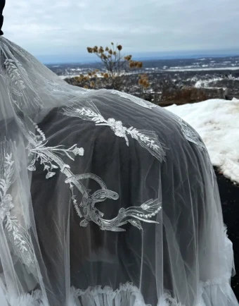 The Western Overskirt Overskirt #5 thumbnail