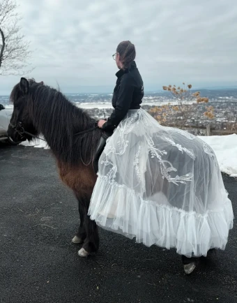 The Western Overskirt Overskirt #2 thumbnail