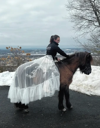 The Western Overskirt Overskirt #6 thumbnail