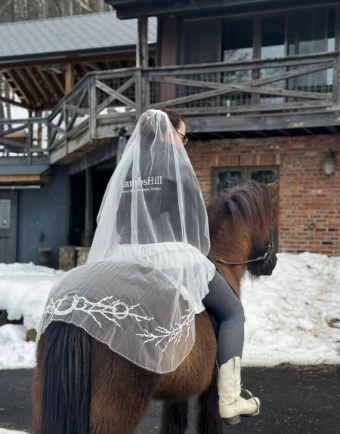 The Equestrian Signature with Pearls Waltz #1 thumbnail