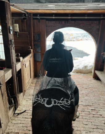 The Equestrian Noir Waltz #2 thumbnail