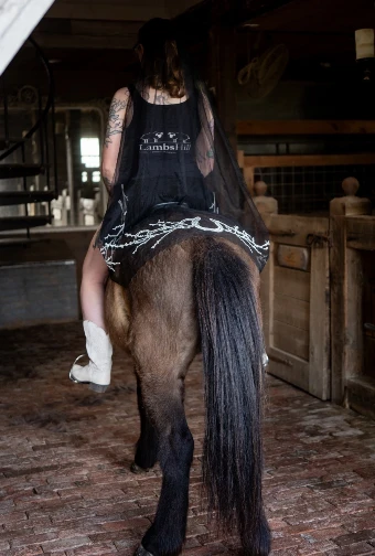 The Equestrian Noir Waltz #2 thumbnail