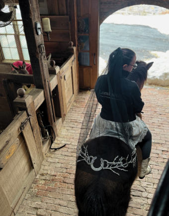 The Equestrian Noir Waltz #0 default thumbnail