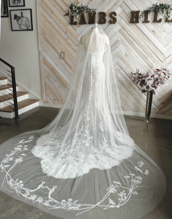 The Western Show Bit Cathedral #0 default thumbnail