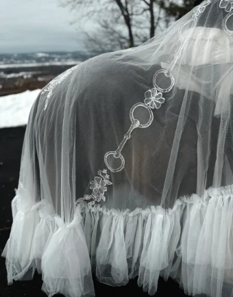 The English Overskirt Overskirt #4 thumbnail