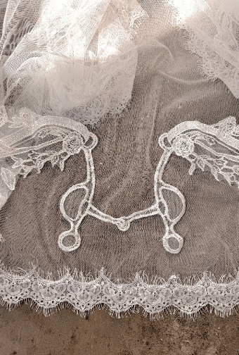 The Western Bit with Lace #1 thumbnail