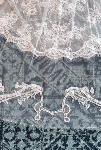 The Western Bit with Pearls #5 thumbnail