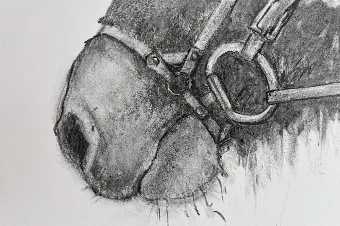 Equestrian Collage Wall Mural #2 thumbnail