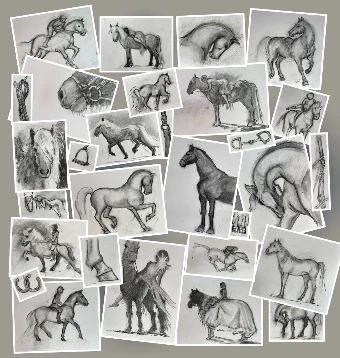 Equestrian Collage Wall Mural #0 default thumbnail