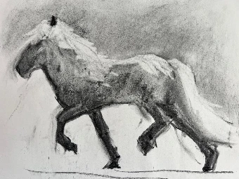 Equestrian Collage Wall Mural #9 thumbnail