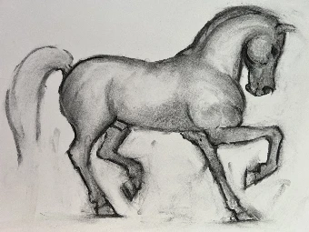 Equestrian Collage Wall Mural #8 thumbnail
