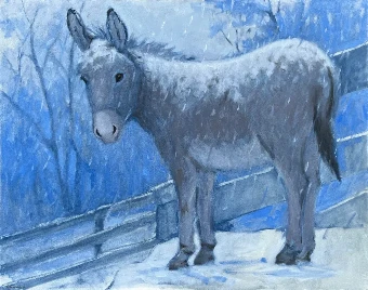Porgy in the Snow #0 default thumbnail