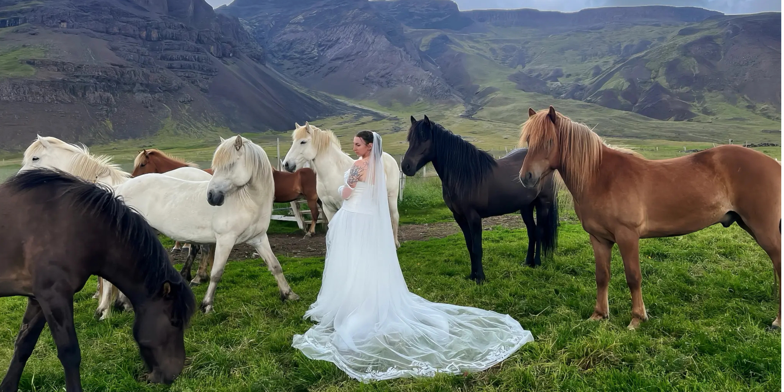 Equestrian Veils