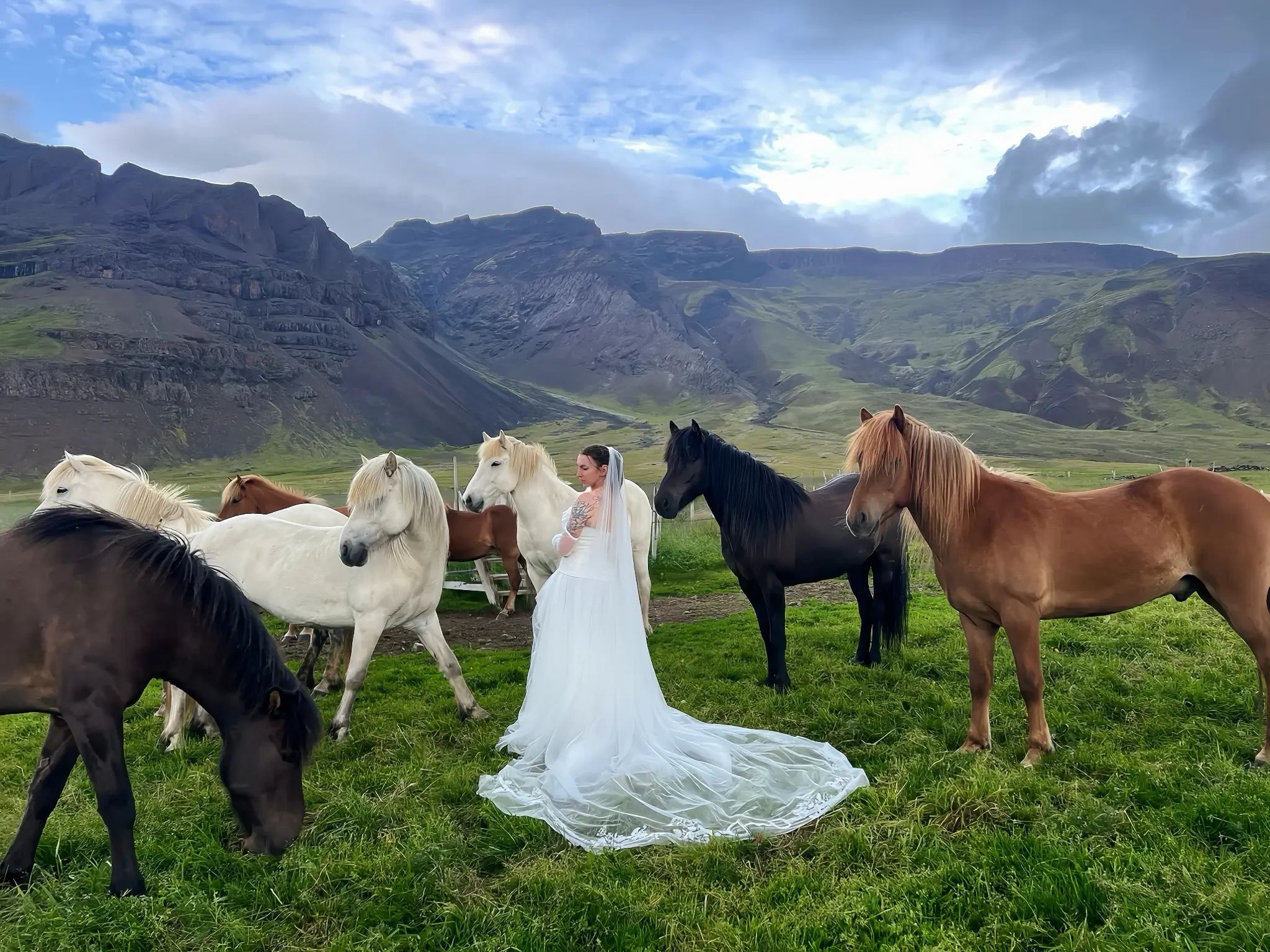 Equestrian Veils