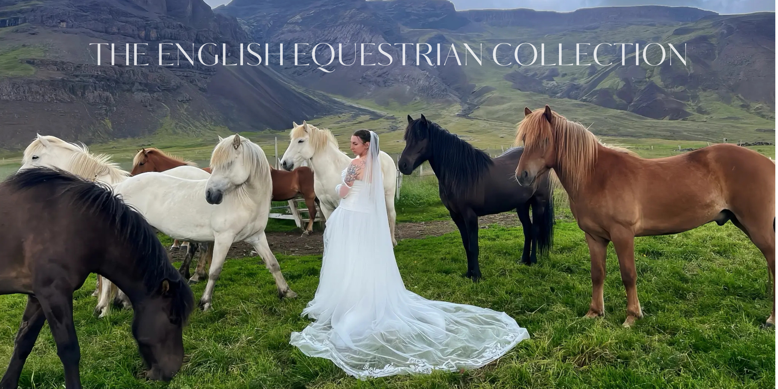 English Equestrian